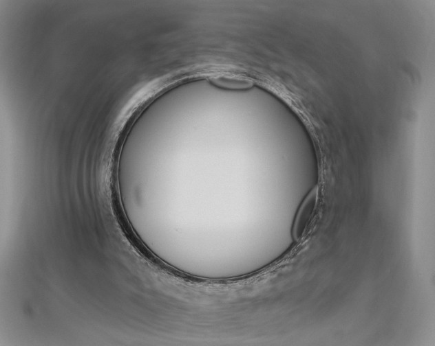 X0000113020007200908271043