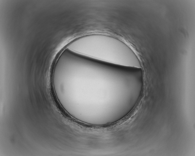 X0000113020008200908271043