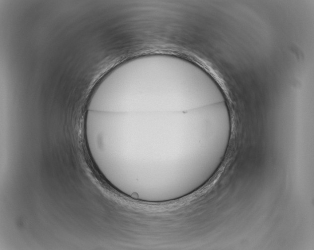 X0000113020010200908271043