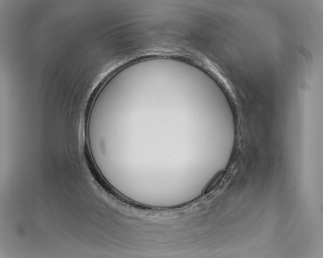 X0000113020011200908271043