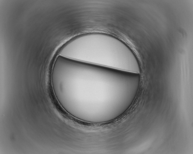 X0000113020012200908271043