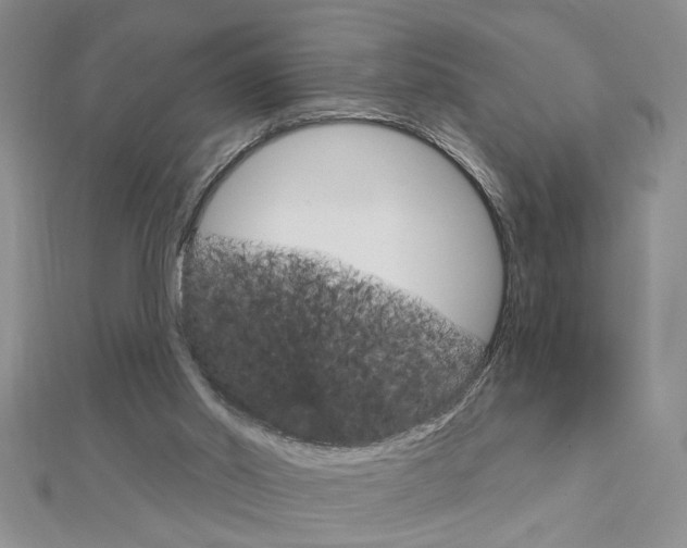X0000113020014200908271043