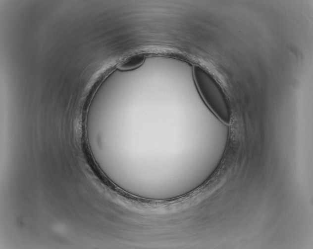 X0000113020015200908271043