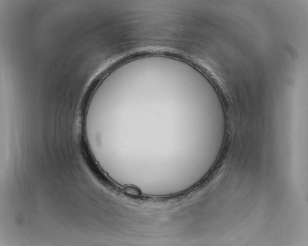 X0000113020016200908271043