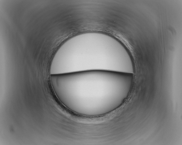 X0000113020017200908271043