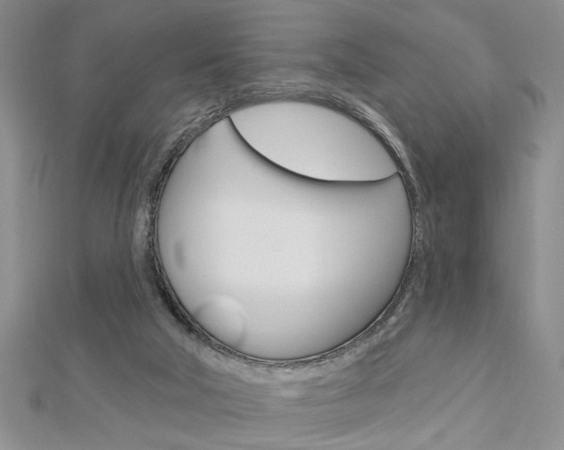 X0000113020018200908271043