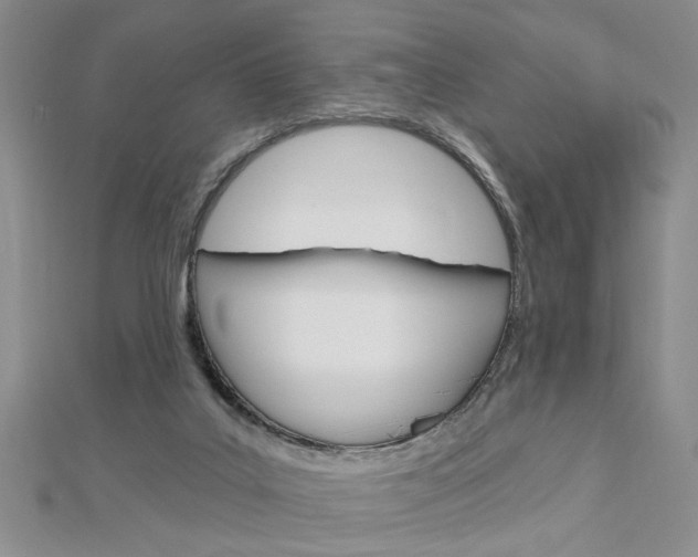 X0000113020019200908271043