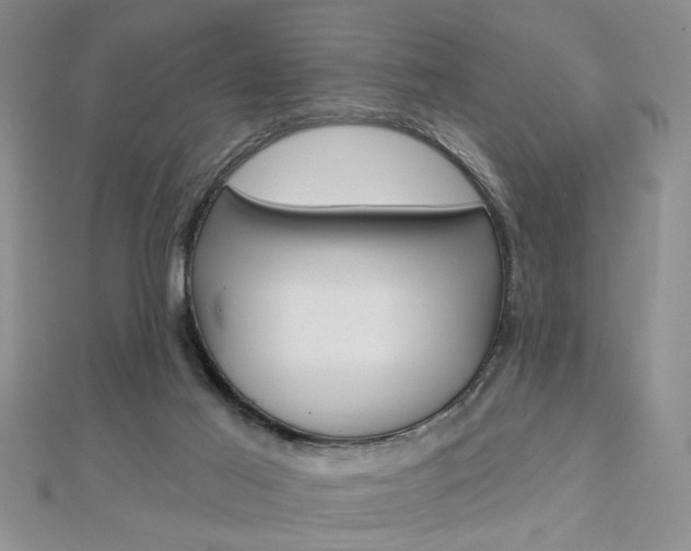 X0000113020021200908271043