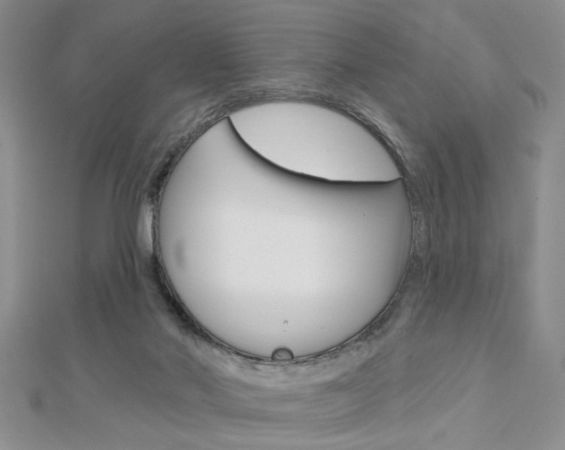 X0000113020022200908271043