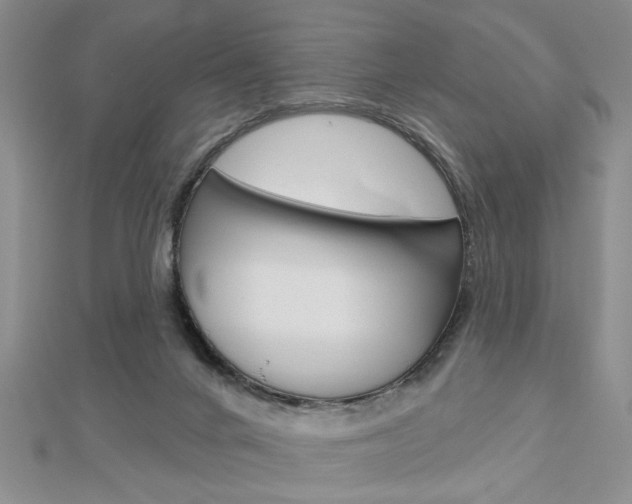 X0000113020024200908271043