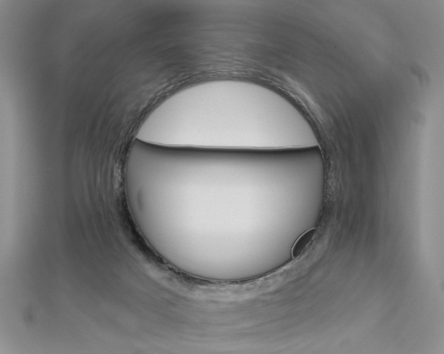X0000113020025200908271043