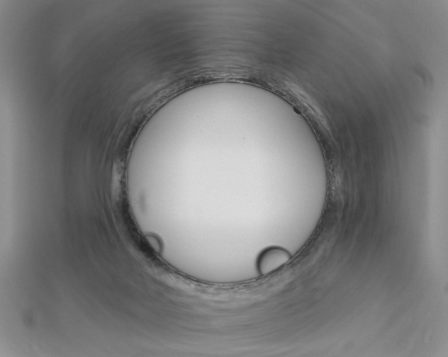 X0000113020026200908271043