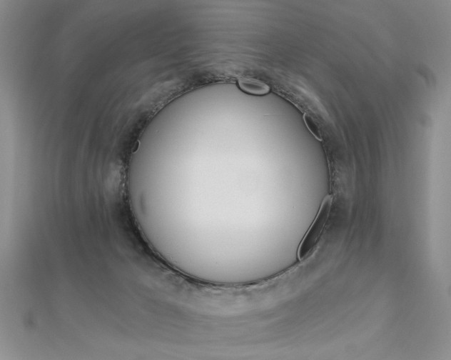 X0000113020029200908271043
