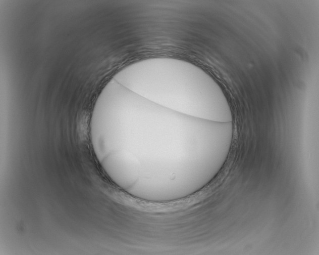 X0000113020030200908271043