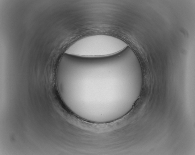 X0000113020031200908271043