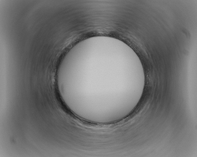 X0000113020032200908271043