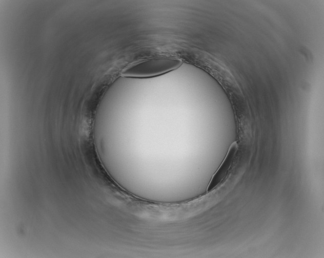 X0000113020033200908271043