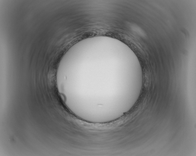 X0000113020034200908271043