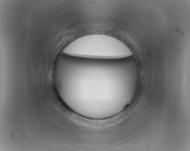 X0000113020035200908271043