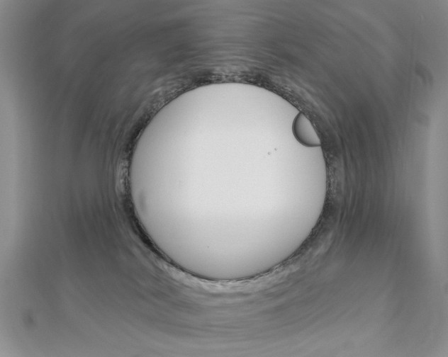 X0000113020038200908271043