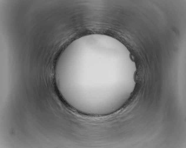 X0000113020040200908271043