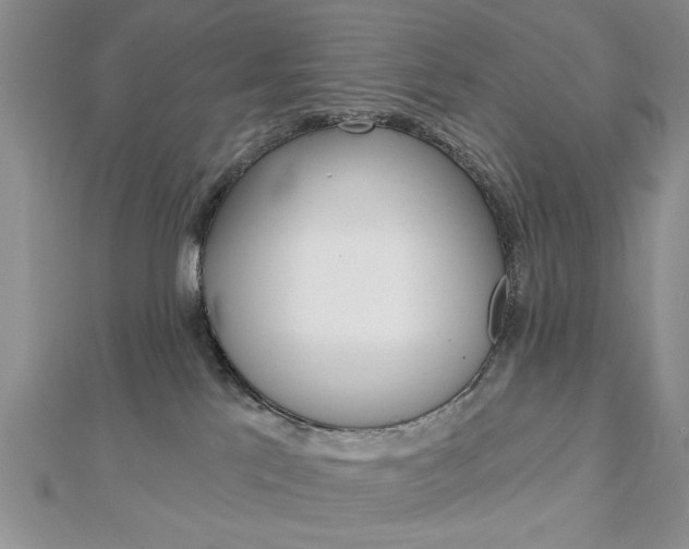 X0000113020041200908271043