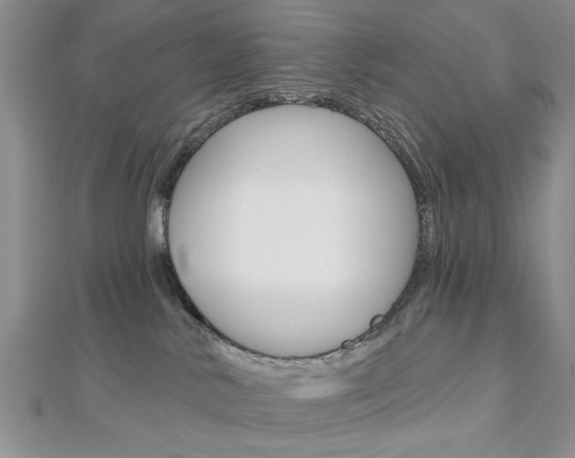 X0000113020042200908271043