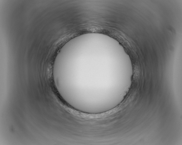 X0000113020043200908271043