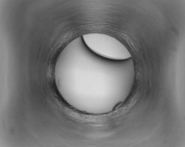 X0000113020044200908271043