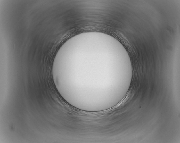X0000113020045200908271043