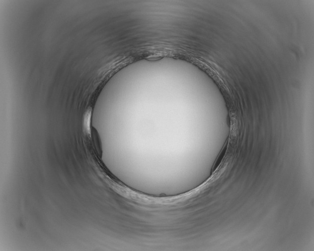 X0000113020047200908271043