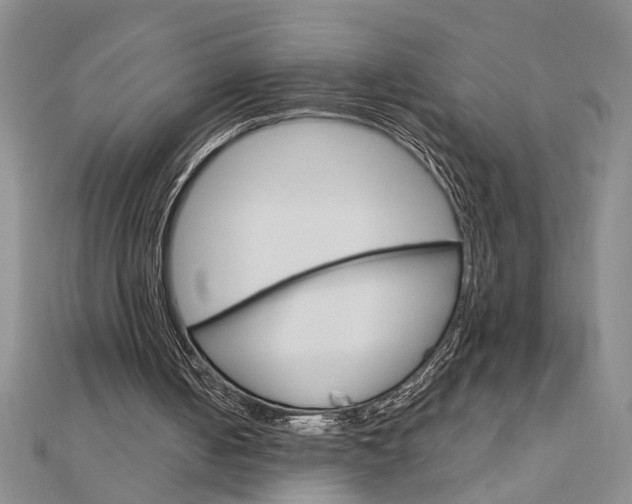 X0000113020050200908271042