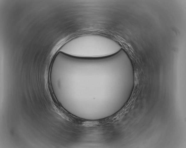 X0000113020051200908271042