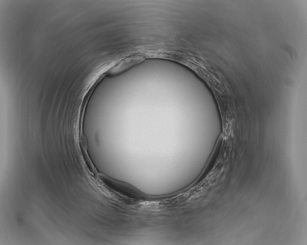 X0000113020052200908271042