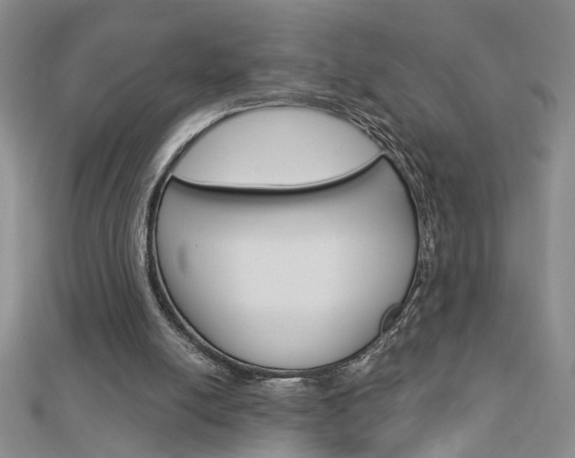 X0000113020054200908271042