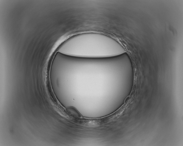 X0000113020056200908271042