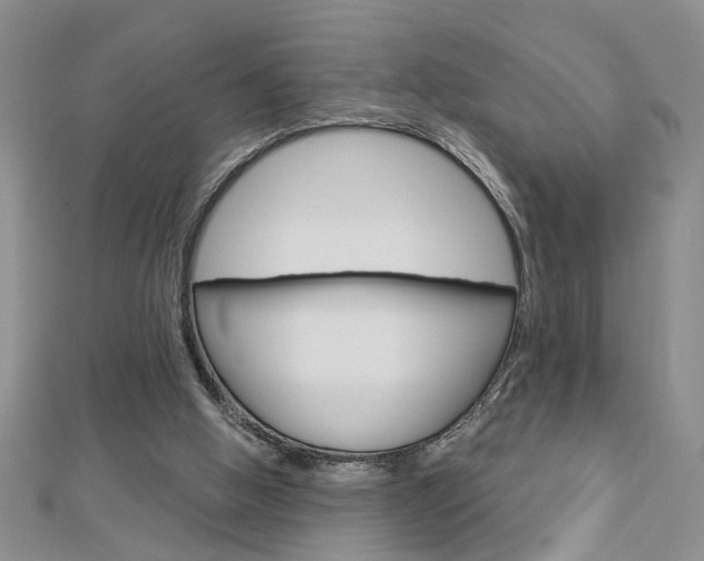 X0000113020058200908271042