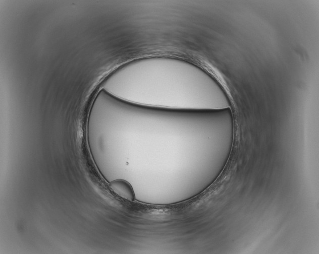 X0000113020059200908271042