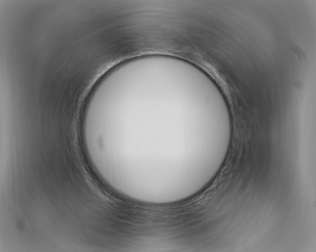X0000113020060200908271042