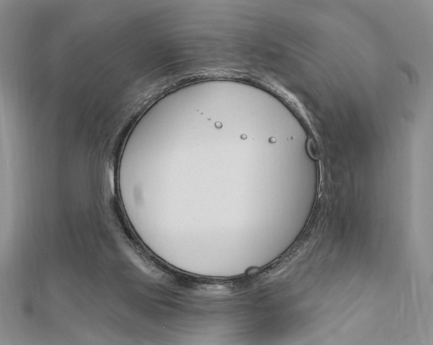 X0000113020061200908271042