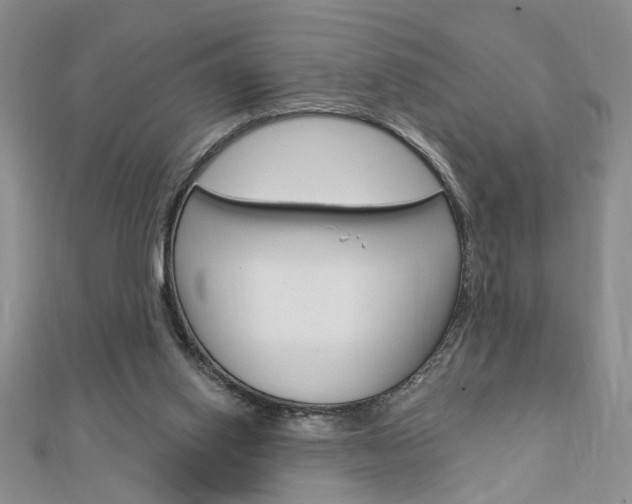 X0000113020062200908271042