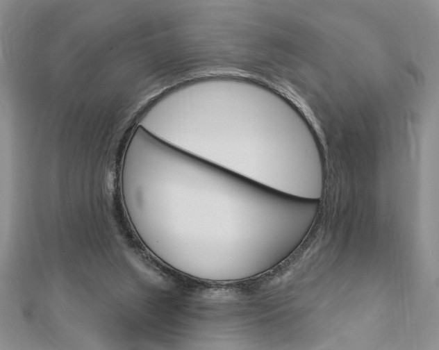 X0000113020063200908271042