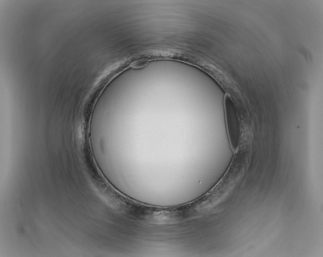 X0000113020064200908271042