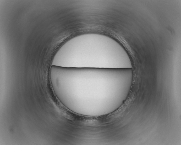 X0000113020066200908271042