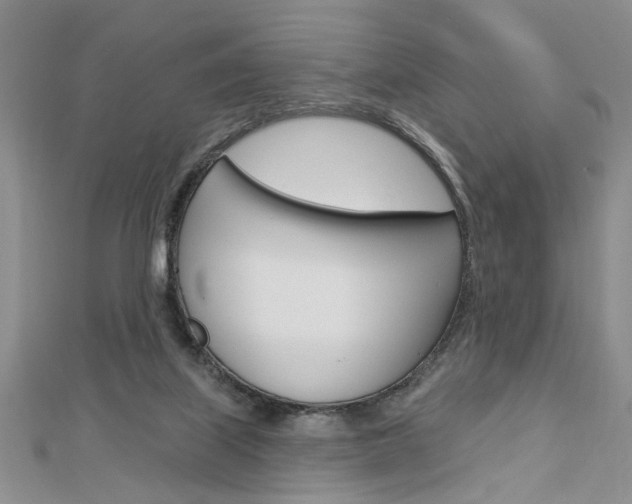 X0000113020067200908271042