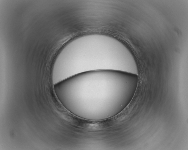 X0000113020068200908271042
