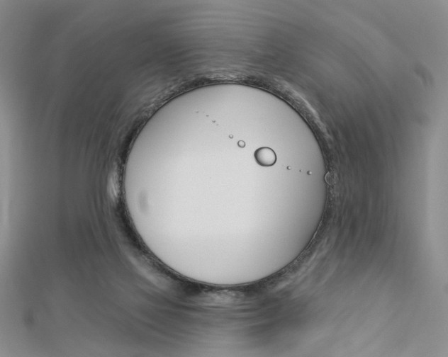 X0000113020069200908271042