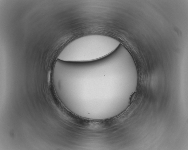 X0000113020070200908271042