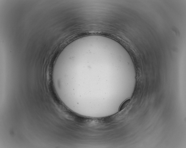 X0000113020074200908271042