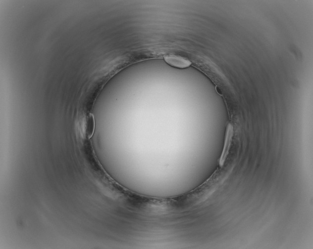 X0000113020076200908271043